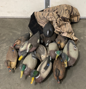 Assorted Duck Decoys