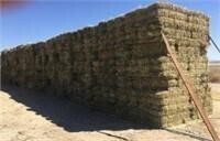 Valley Fields (440) Bales Grass Hay