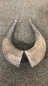 Pair Of Horn Caps