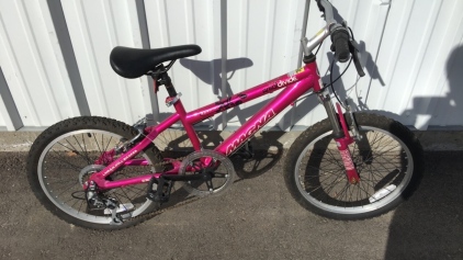 Pink Magna Girl’s Bike