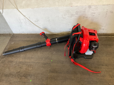Craftsman CMXGAAMR51BP Leaf Blower
