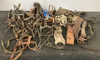 Assortment Of Horse Tack