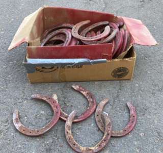 Box of Assorted Horse Shoes