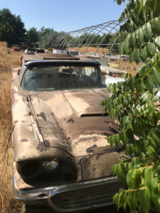 1959 Ford Thunderbird 2-Door Convertible