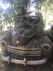 1946 Ford Super Deluxe 2-Door Convertible