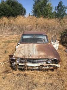 1962 Buick Special 4-Door