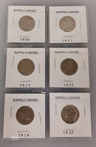 (6) Various Year Buffalo Nickels