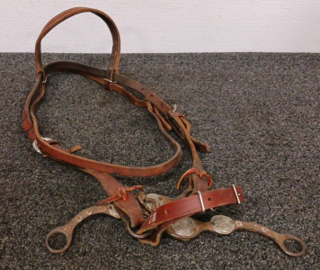 Leather Headstall and Bit