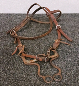 Leather Headstall and Bit