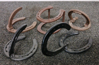 Horse Shoe Coat Racks