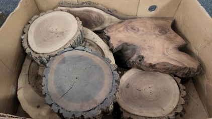 Cur Wood Pieces