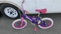 Magna Girl's Bike