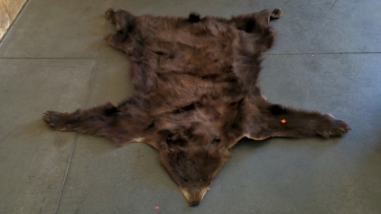 Bear Skin