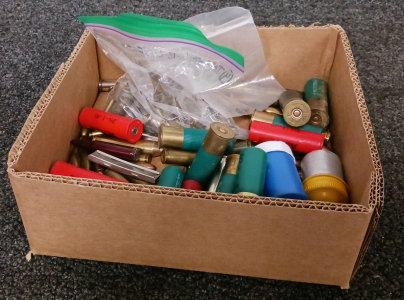 Assorted Shells and Ammo