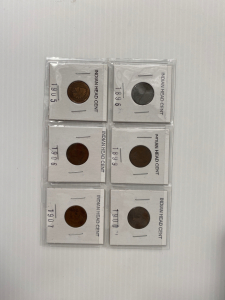 (6) Indian Head Cents