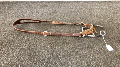 Leather Bridle