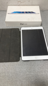 iPad Mini