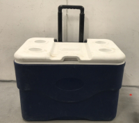 Coleman Cooler