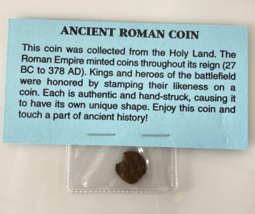 Ancient Roman Coin
