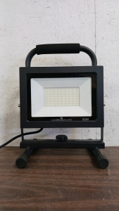 Glorious-Lite 50W LED Shop Light -VERY BRIGHT