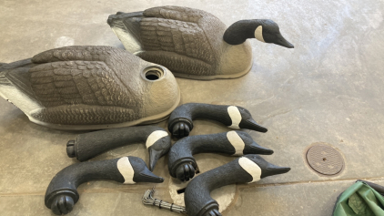 Goose Decoys