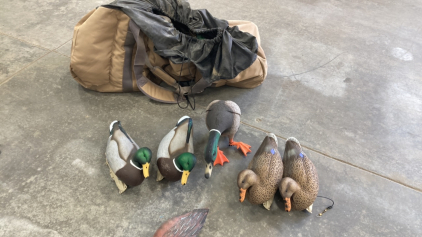 Duck Decoys