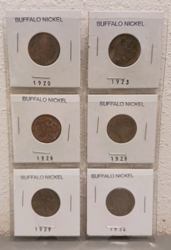 (6) Various Year Buffalo Nickels