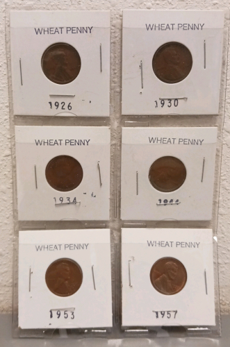 (6) Various Year Wheat Pennies