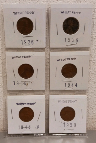 (6) Various Year Wheat Pennies