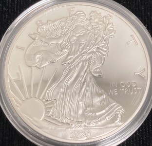 2020 Silver 1oz Walking Liberty/Eagle Coin