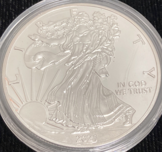 2021 Silver 1oz Walking Liberty/Eagle Coin