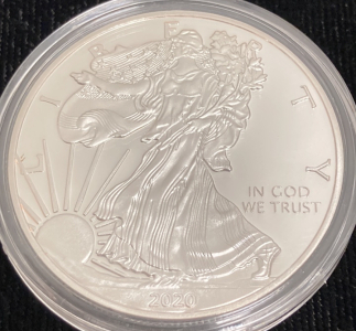2020 Silver 1oz Walking Liberty/Eagle Coin