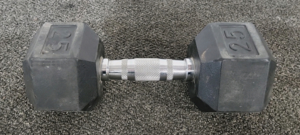 One 25LB Dumbbell