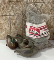 (9) Duck Decoys