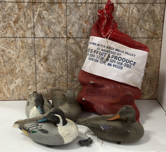 (9) Duck Decoys