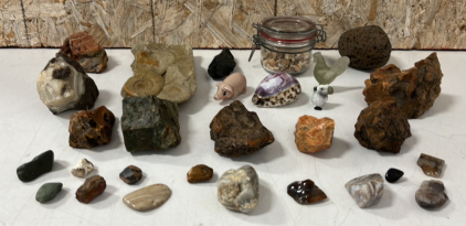(25) Assorted Rocks/Fossils, (3) Animal Figurines, and Assorted Seashells