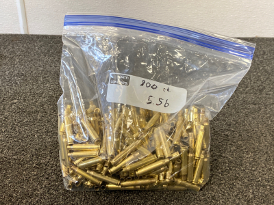 Bag of Brass Casings