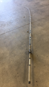 12' Foot BWS 1310A Fishing Rod and Reel