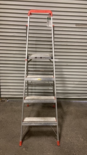 Little giant 6’ ladder