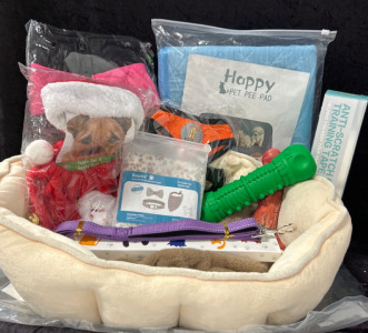 Puppy Gift Set