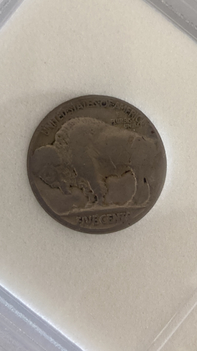 US Buffalo Nickel