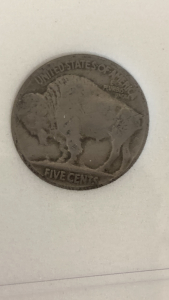 US Slabbed Buffalo Nickel