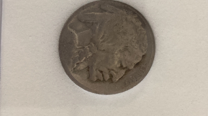 US Buffalo Nickel Coin