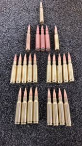 (24) Rounds 308/7.62x51 Ammo