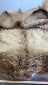 Elk Hide