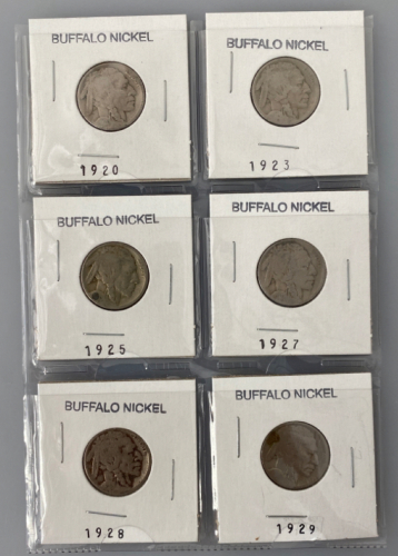 (6) Buffalo Nickels
