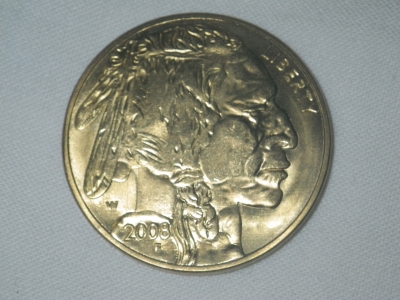 PLATED 1oz Buffalo Gold Coin