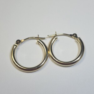 $250 14K 0.67G 0.5" Earrings