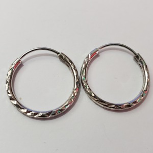 Silver Hoop Earrings