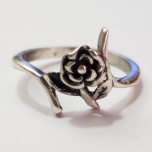 $100 Silver Ring